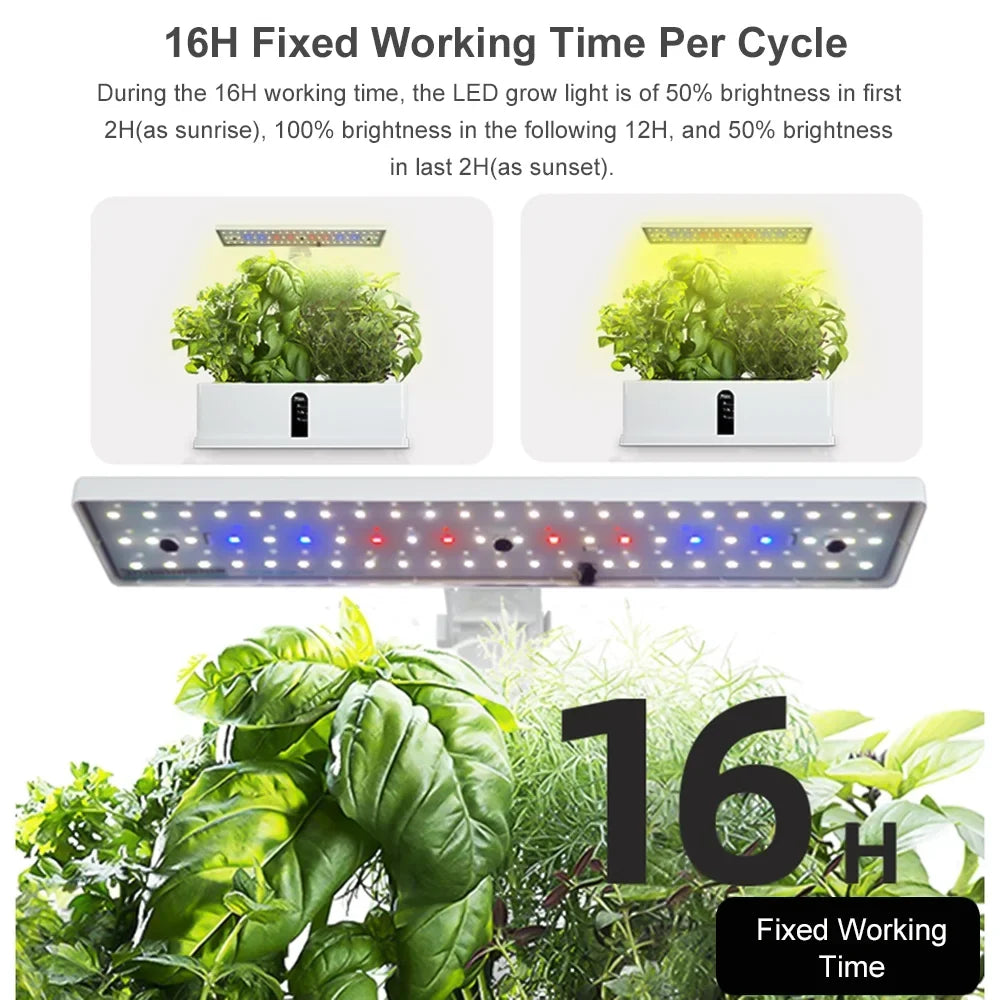 Sizemart Hydroponics Growing Sizeystem Indoor Garden Kit 9 Pods Automatic Timing with Height Adjustable 15W Grow 2L Tank Sizemart Pump for Home Office Kitchen