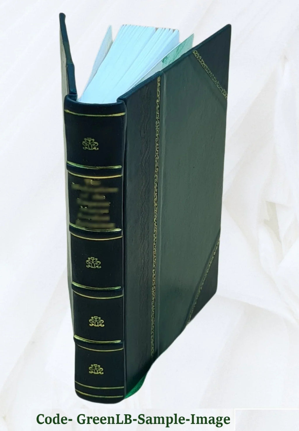 New England family history : a magazine devoted to the history of families of Maine and Massachusetts. Volume v.2 (1908-09) 1909 [Leather Bound]