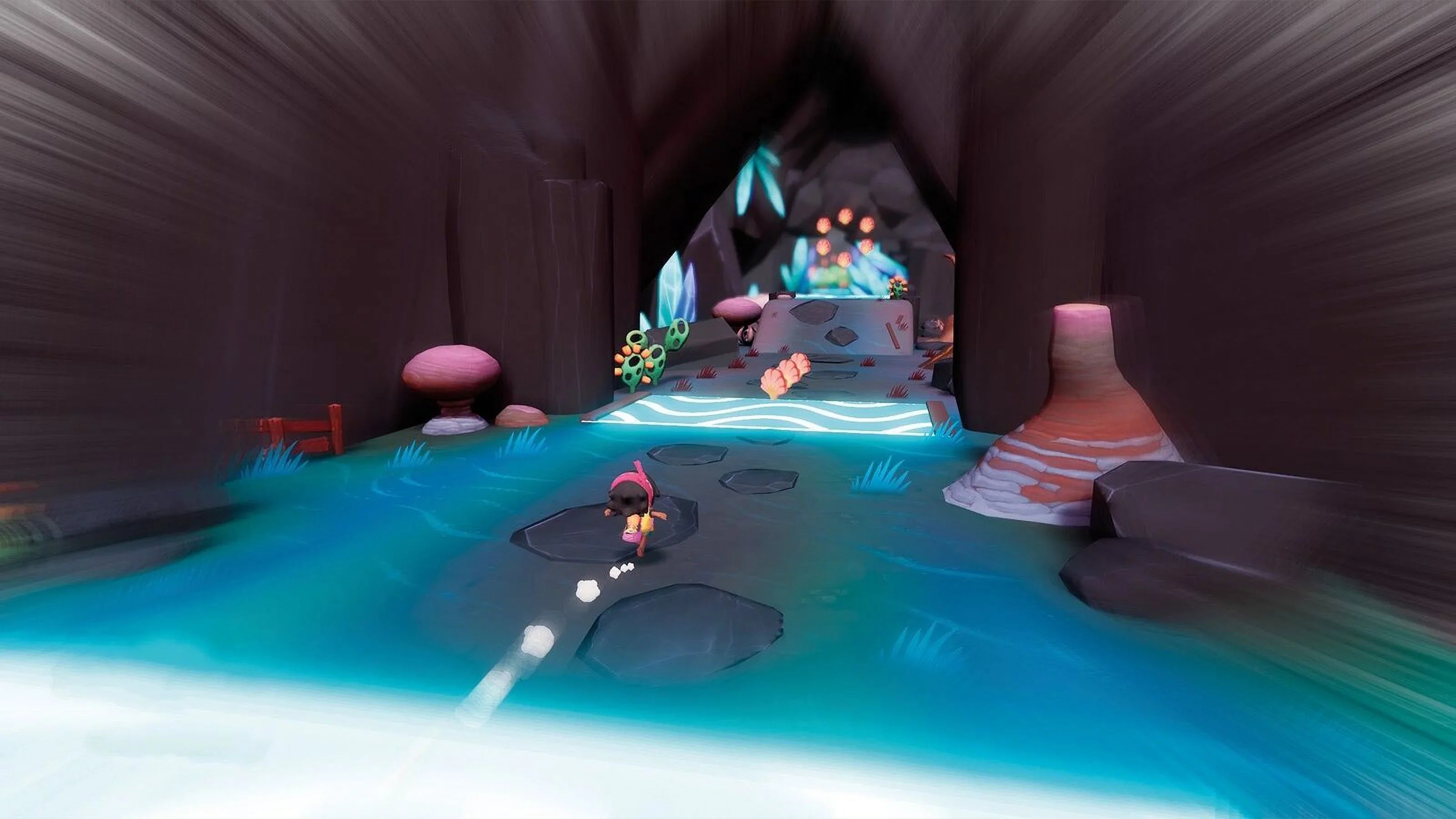 Koa and the Five Pirates of Mara - Collector's Edition [Nintendo Sizewitch]