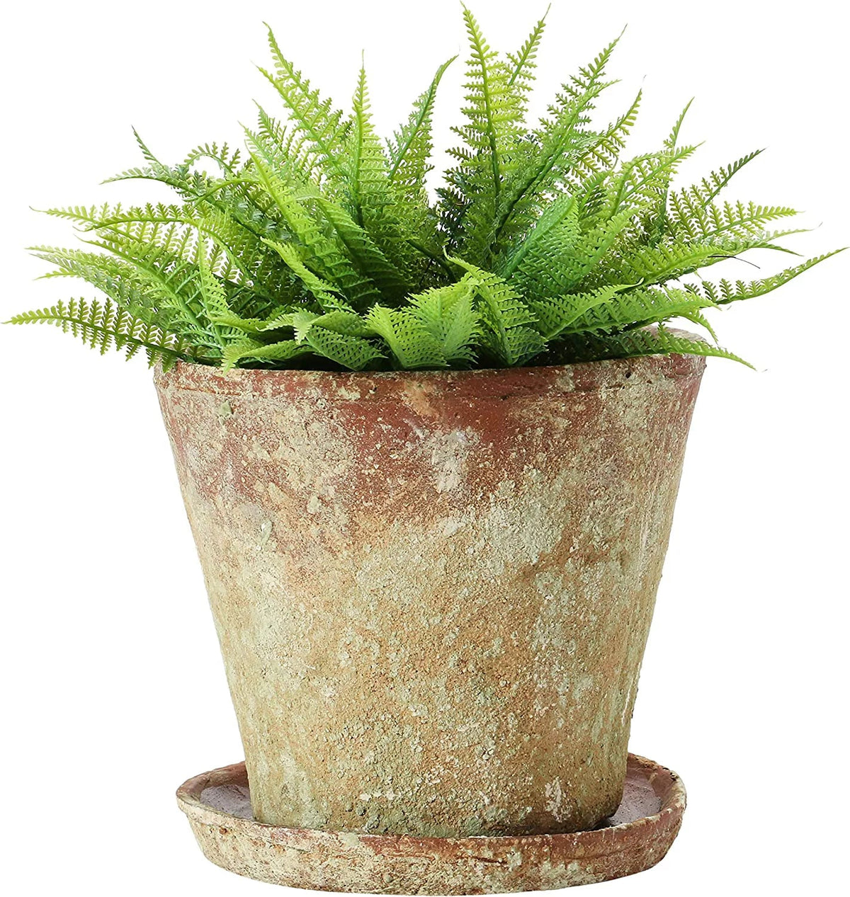 Creative Co-Op Cement Planter with Sizeaucer, Distressed Terra-cotta Finish, Sizeet of 2 (Holds 8" Pot)