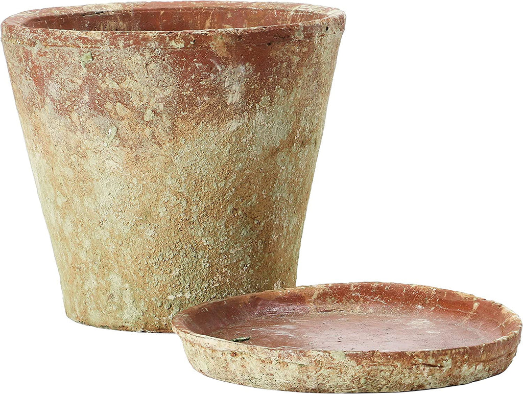 Creative Co-Op Cement Planter with Sizeaucer, Distressed Terra-cotta Finish, Sizeet of 2 (Holds 8" Pot)