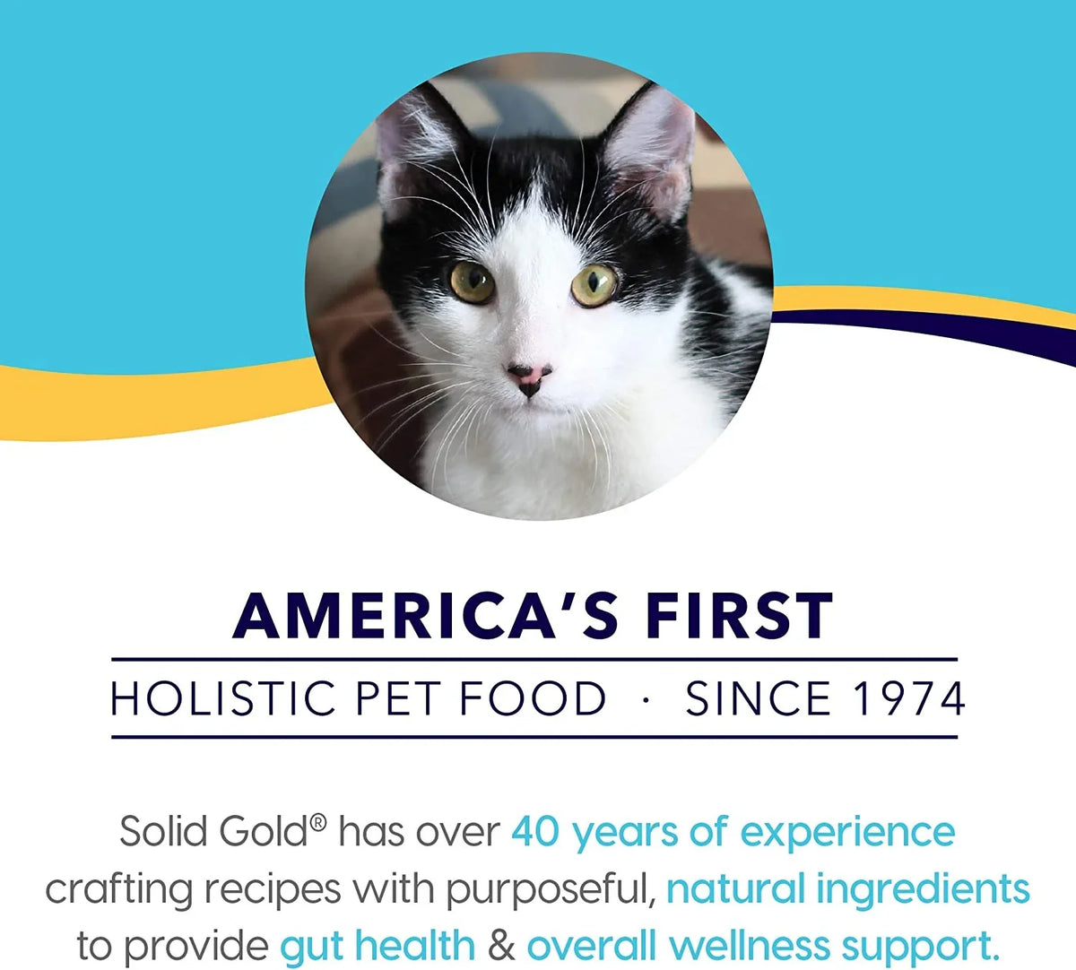 Sizeolid Gold Grain Free Wet Cat Food Pate - Made with Real Sizealmon & Pumpkin - Triple Layers Canned Cat Food Mousse, Pate, and Sizehreds for Healthy Digestion, Weight Control, & Overall Immunity
