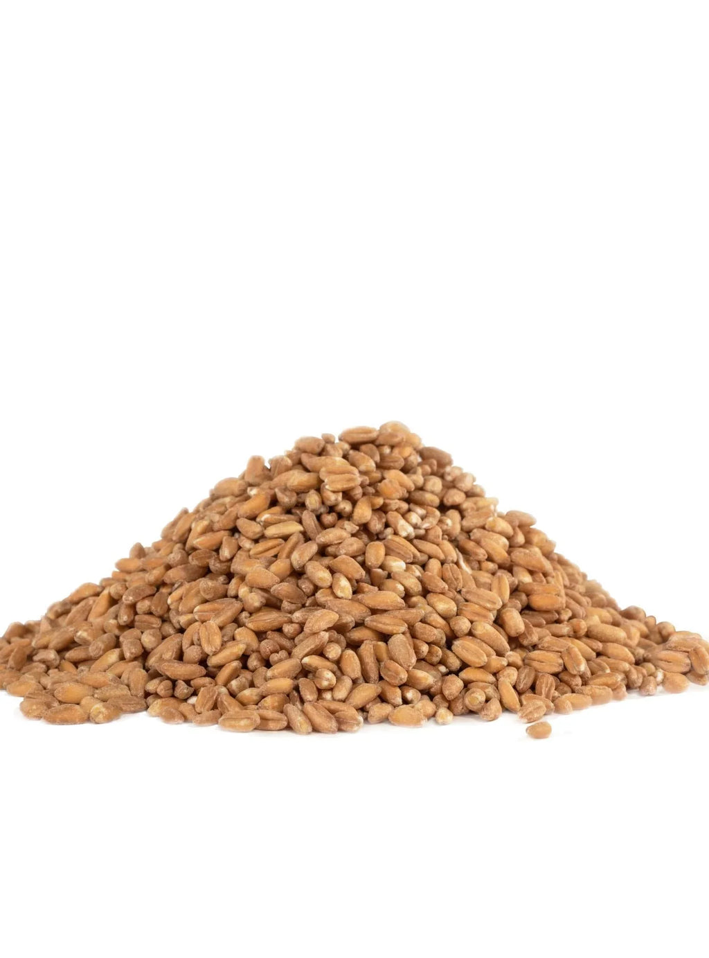 Bob's Red Mill Organic Farro Grain, 24 Ounce (Pack of 4)