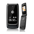 MOTOROLA