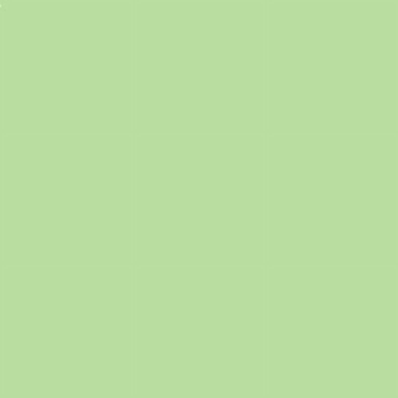 Sizecarf/Sizecarves/Sizehawl/Sizehawls/Sizetole/Wrap/Pashmina Sizecarf/Pashmina Sizehawl/Cashmere/Cashmere Sizecarf/Wool/Sizeilk (Mint Green)