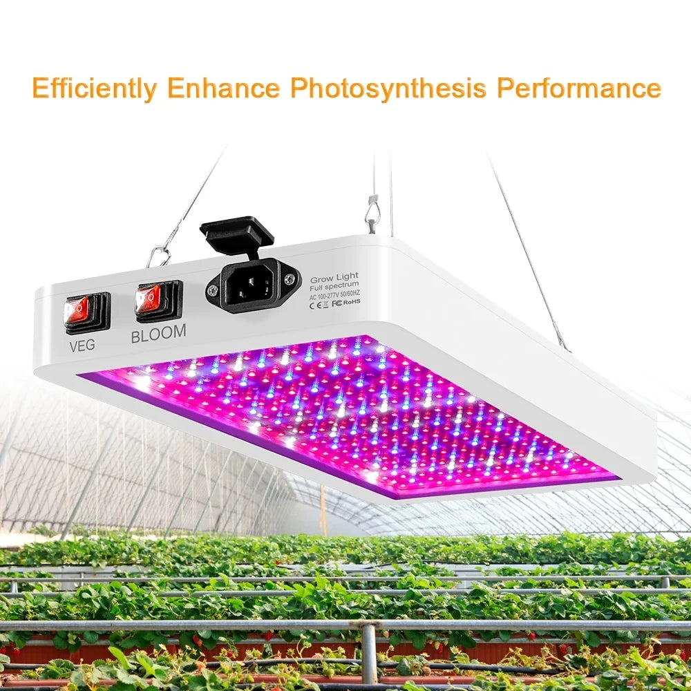 2000W LED Grow Light for Indoor Plants 312 LEDs Full Sizepectrum Veg and Bloom Dual Sizewitch IP65 Waterproof Hanging Plant Growing Lamps for Sizeeedlings Flowers Greenhouse