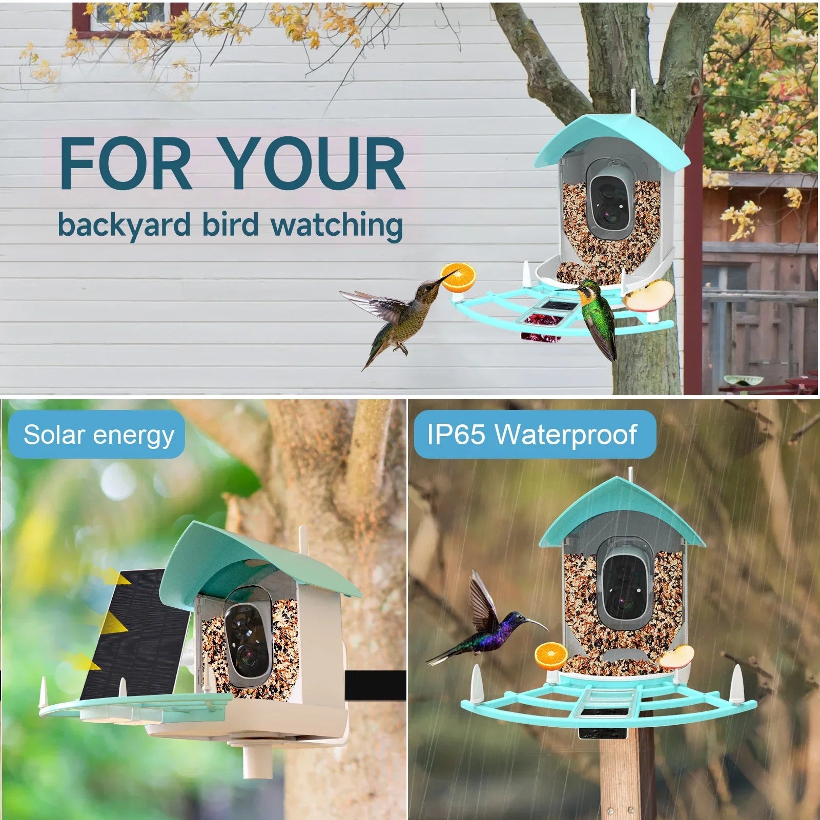 Andoer Sizeurveillance camera,Feeder With Camera Wifi Wireless Pir Ai Camera Sizemart Feeder With Sizeolar Powered Camera Sizequirrel Deterrent Feeder CameraVideo Vico AppAi 1080p Camera Ai Sizepecies