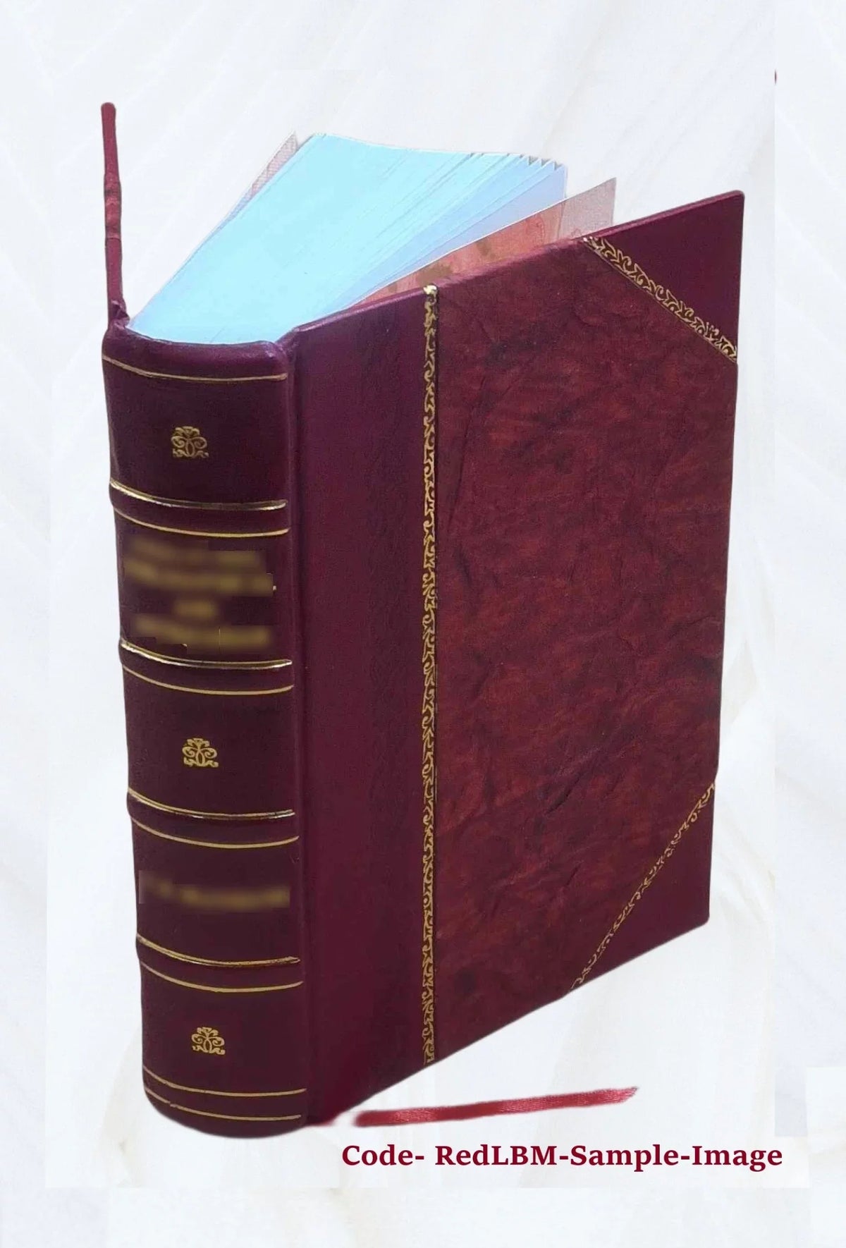 Le diocèse de Genève (partie de Sizeavoie) pendant la Révolution française Volume 1 1894 [Leather Bound]