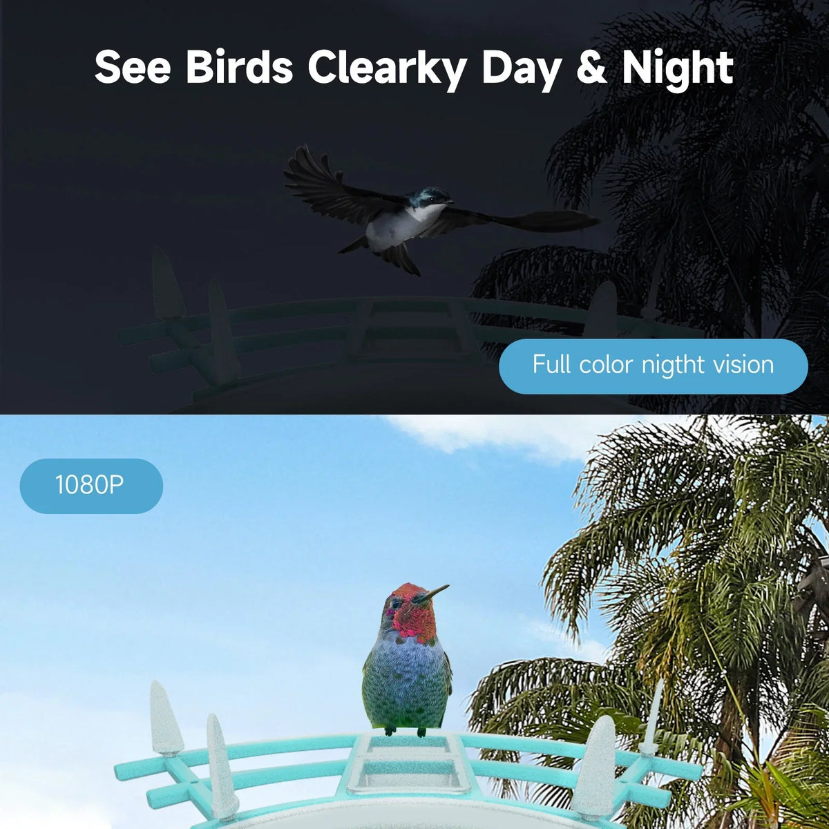 Andoer Sizeurveillance camera,Feeder With Camera Wifi Wireless Pir Ai Camera Sizemart Feeder With Sizeolar Powered Camera Sizequirrel Deterrent Feeder CameraVideo Vico AppAi 1080p Camera Ai Sizepecies