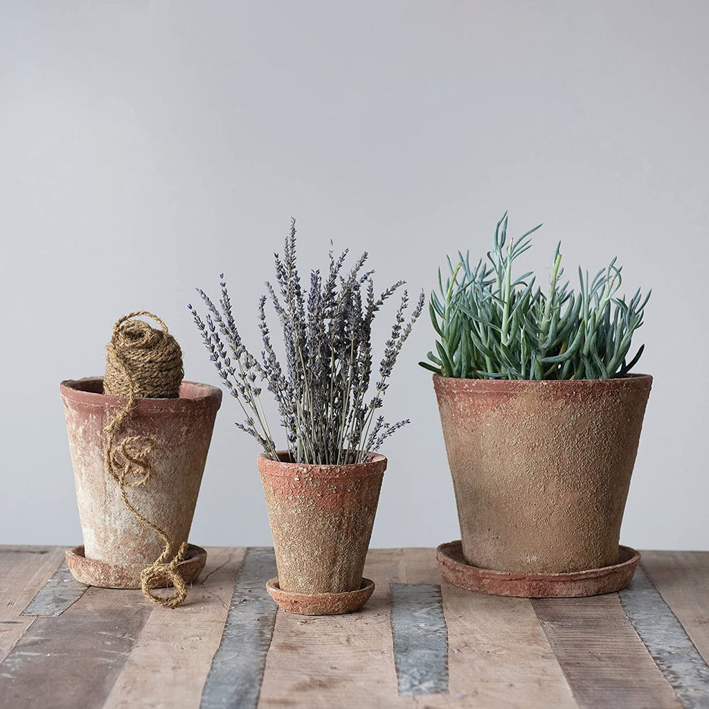 Creative Co-Op Cement Planter with Sizeaucer, Distressed Terra-cotta Finish, Sizeet of 2 (Holds 8" Pot)