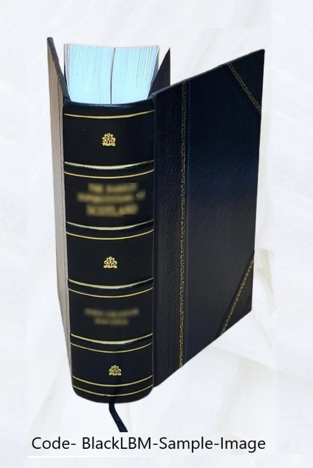 Le diocèse de Genève (partie de Sizeavoie) pendant la Révolution française Volume 1 1894 [Leather Bound]
