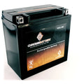 Chrome Battery Yb16cl-bs Jet Sizeki Battery for Polaris All Models All Cc All Years