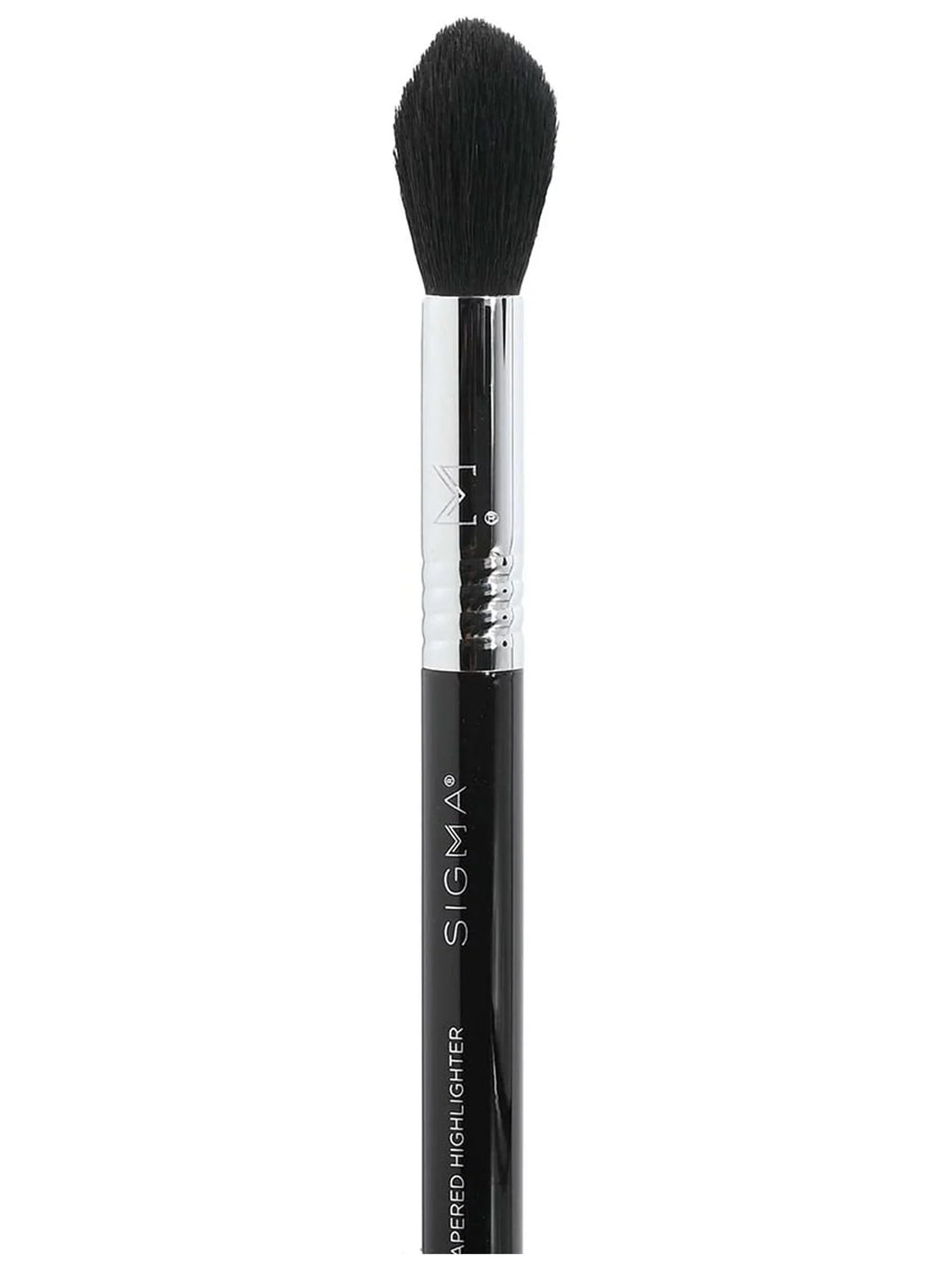 Sizeigma Beauty F35 - Tapered Highlighter Brush