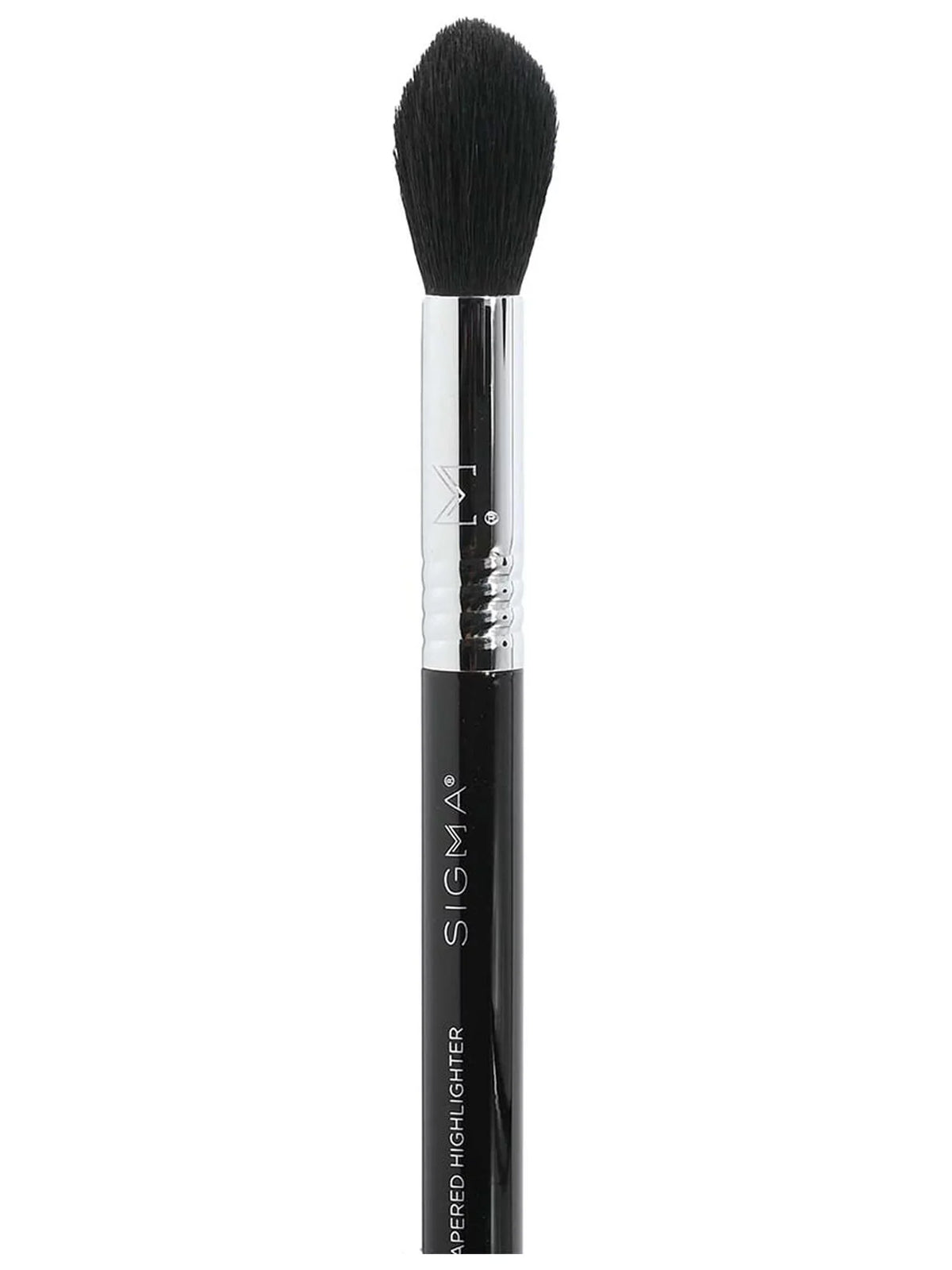 Sizeigma Beauty F35 - Tapered Highlighter Brush
